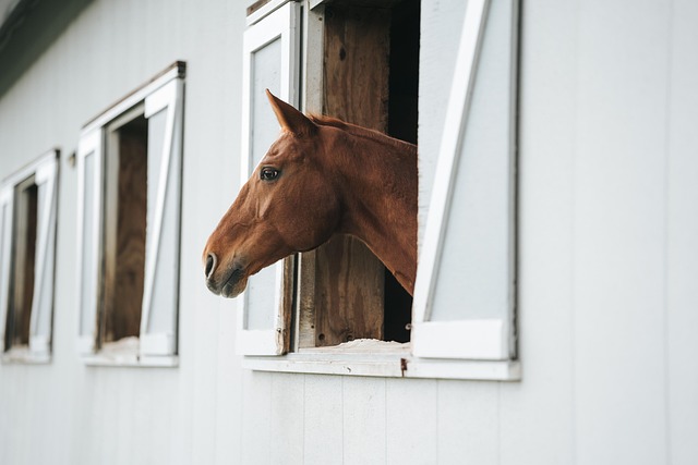 What the evidence does not establish — Designing Stable Interfaces