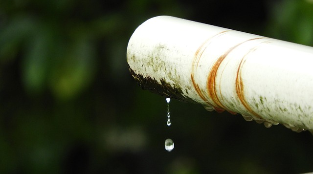 outdoors leak nature rain colombia