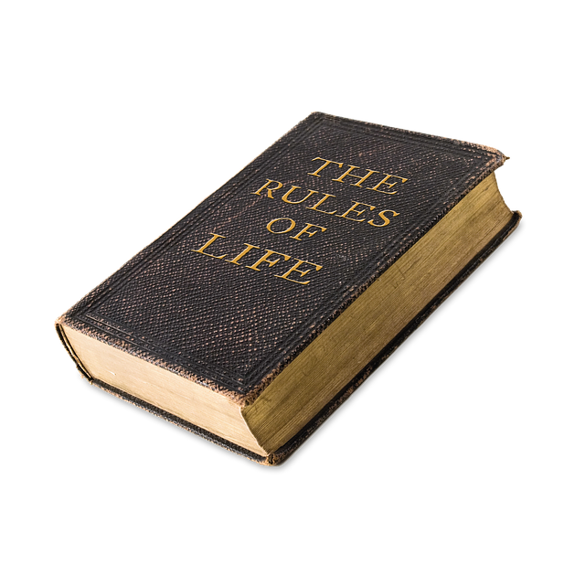 life rules book rules of life rule book the rules of life tome rules rules rules rules rules rule book