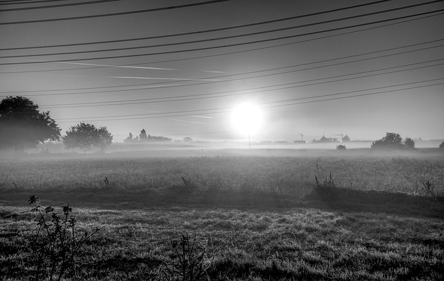 sunrise sun fog fall early fog power line power pole landscape nature trees mood romance hdr high dynamic range contrast blac