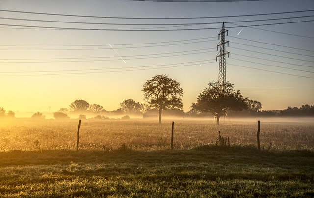 sunrise sun fog fall early fog power line power pole landscape nature trees mood romance hdr high dynamic range contrast dawn