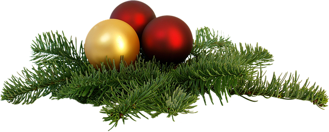 isolated christmas branch fixed end of the year christmas branch christmas branch christmas branch christmas branch christmas branch
