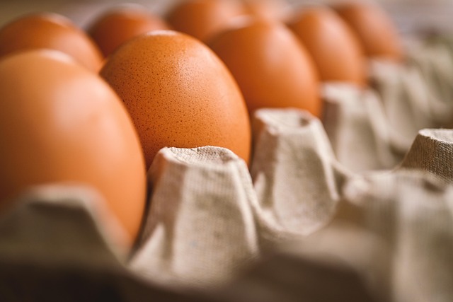 Review Engine vs Geo-Grid Posts vs Citywide SEO — Egg Tuck 2026
