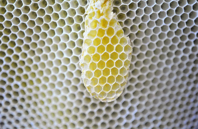 honeycomb design hexagon house the basis of nature