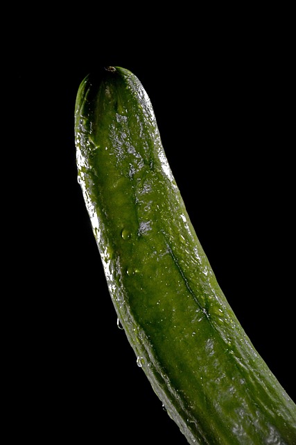 cucumber vegetables act partial act wet drops ambiguous vegetarian food green healthy snake pickle vegan close up vitamins no