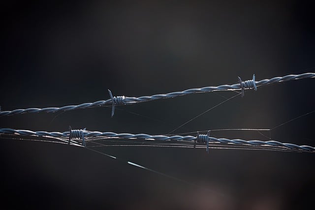 barbed wire jail fence security barrier to back up protection metal sharp dangerous escape obstacle