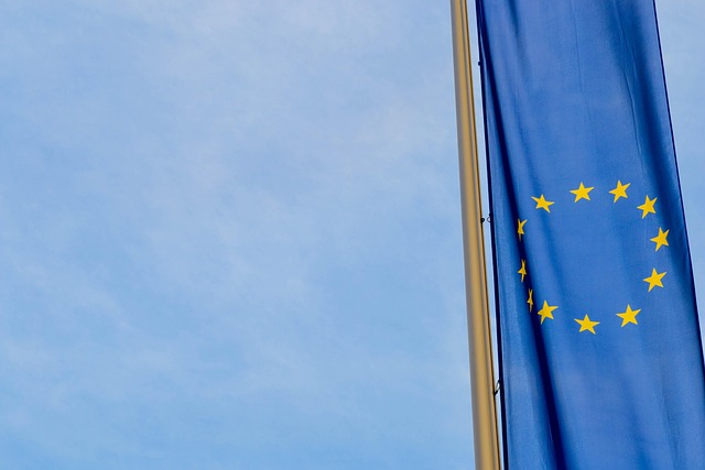 Verify the law against official sources — European Union Artificial Intelligence Act Article