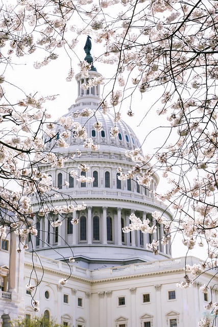 capital usa government landmark america architecture washington congress phone wallpaper senate building dc historic history t