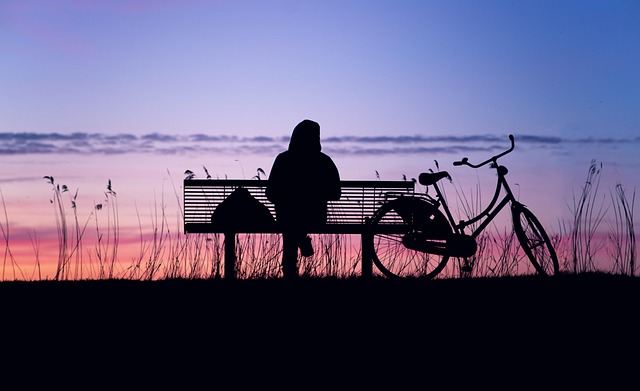 sunset silhouette twilight landscape nature freedom lonely peace relaxation atmospheric atmosphere loneliness bicycle red sky