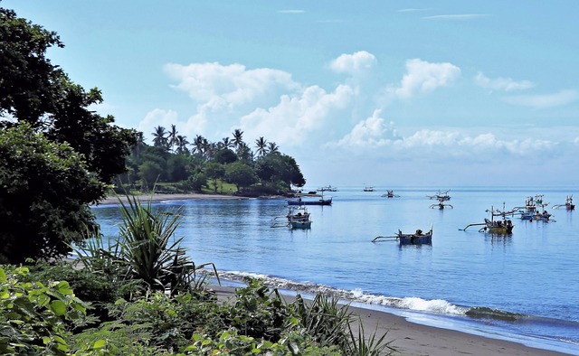 fleet beach nature sea bali