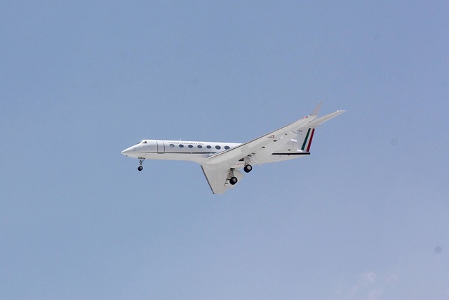 Common Mistakes — Flight refunds