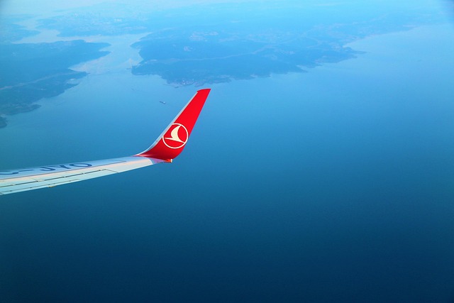 aeroplane from the air nature panorama sky flight trip city view wing