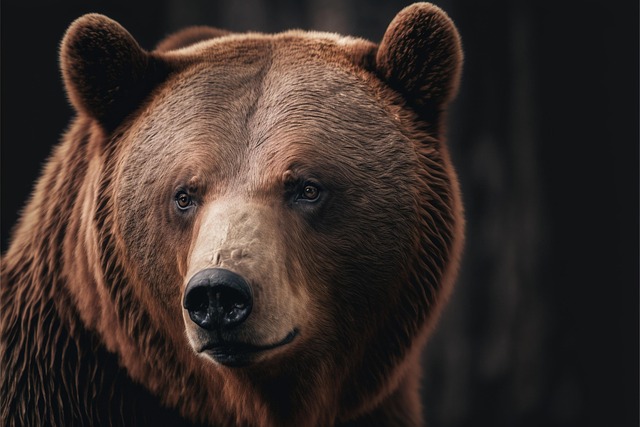 ai generated bear brown bear wildlife animal mammal nature predator dangerous generative ai ai generated ai generated bear bear