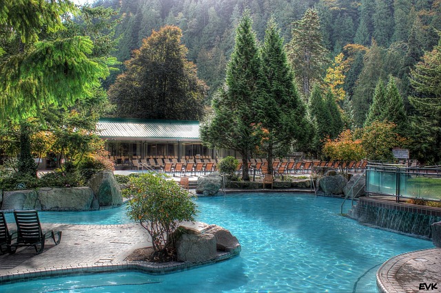 pool harrison hotsprings water trees outdoor nature natural