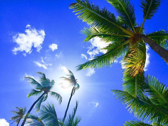FEVER's Claims and FActScore's 0.75 Correlation — Hawaii Resort Fact Checker