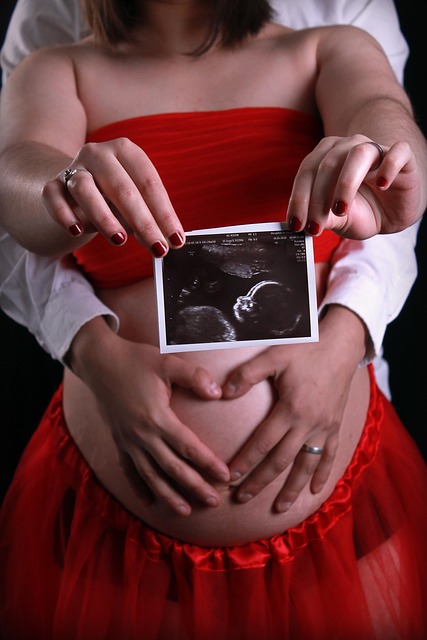 pregnancy ultrasound pregnant evaluation women mother photography maternity baby kid daughter little girl family parents pregn