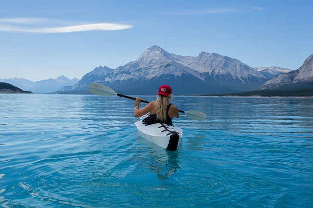 Evidence: What Forecasts Can and Cannot Do — How Kayak's Fare-Drop Predictions Work