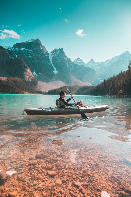 Options Compared — How Kayak's Fare-Drop Predictions Work