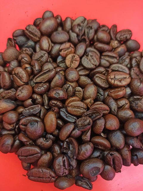 coffee koffee quinn coffee coffee video quinn xcii coffee quinn coffee video coffee lam quinn xcii coffee video best coffee good co
