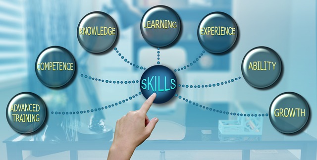 Citation-Anchored vs Score-Only vs Hybrid — How to Learn Python