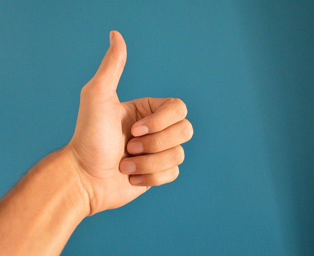Price the Pause Before Choosing — Human Approval Pauses