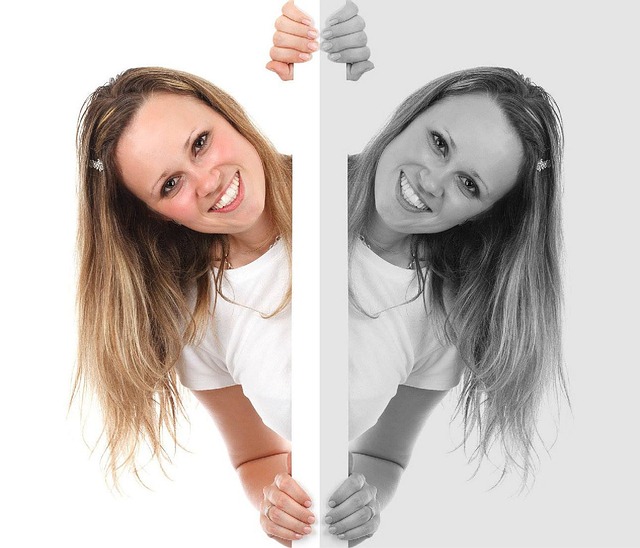137,000 Human Choices vs. 400 Million Web Pairs — Human Image Preference Test