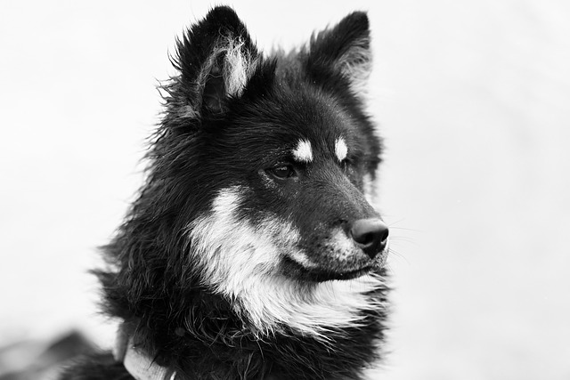 From 14.2 to 9.6 FID — Image quality test