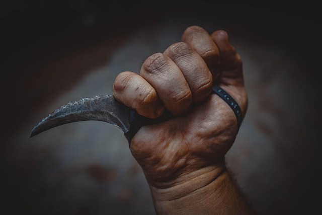 karambit knife weapon tactical knife combat knife fighting knife edc knife every day carry knife kerambit kurambik karambol karam