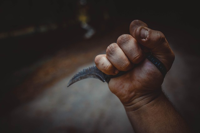 karambit knife weapon tactical knife combat knife fighting knife edc knife every day carry knife kerambit kurambik karambol karam