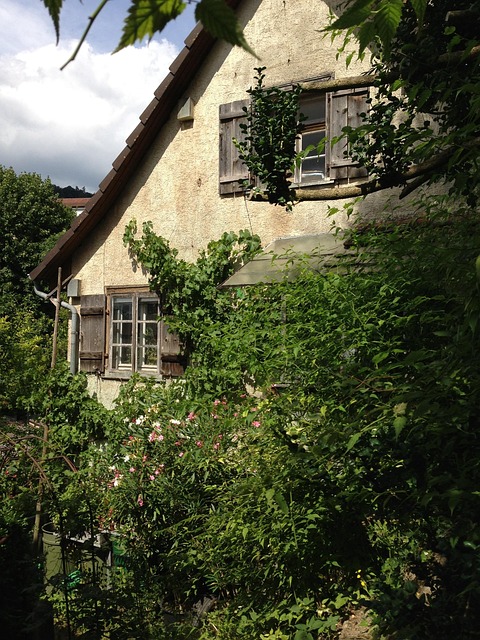 house ingrown building old romantic turfed