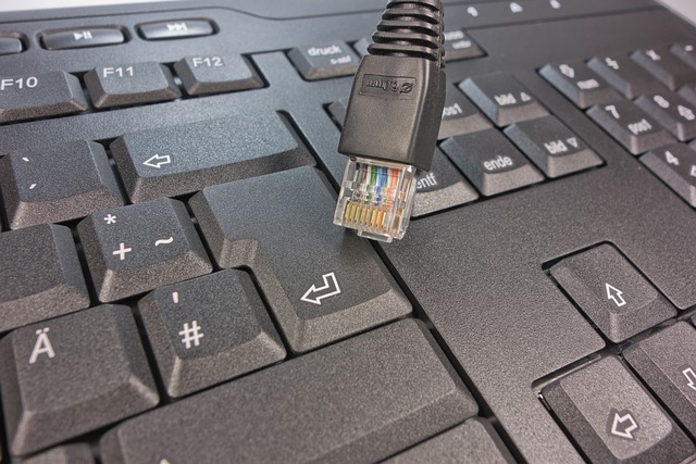 What the Data Doesn't Tell You — Input Cost Comparison
