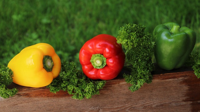 peppers three colours vitamins sweet pepper fresh closeup firm healthy food the inside of the pepper food nutrition gard