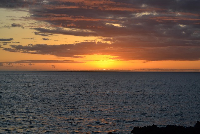 The Five Signals and How to Check Each — Kona (KOA) Nonstop Fares