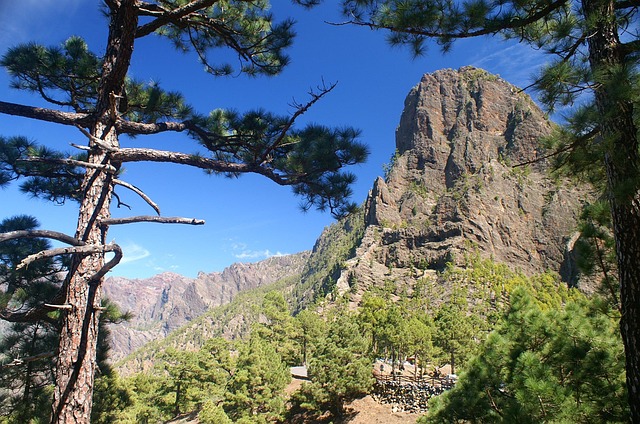la palma mountains nature canary islands la palma la palma la palma la palma la palma