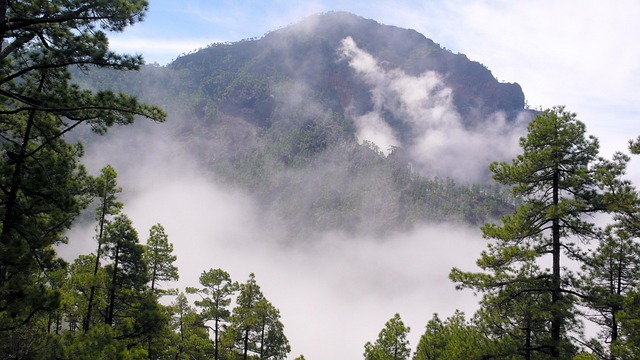 la palma landscape fog la palma la palma la palma la palma la palma