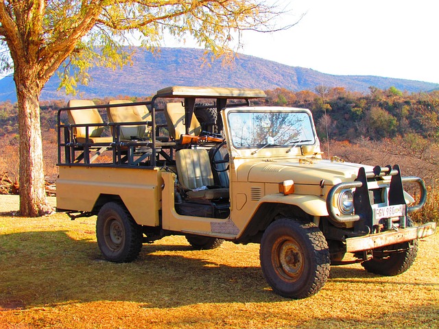 What the Averages Hide — Land Cruiser 300 10K Service