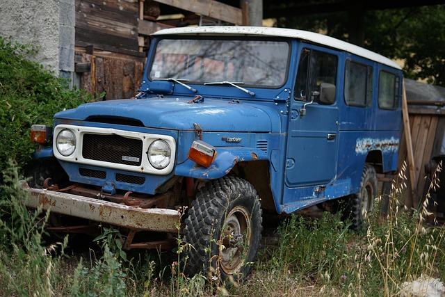 Dealer Lane vs Mobile Bay vs Night Hybrid — Land Cruiser 300 10K Service