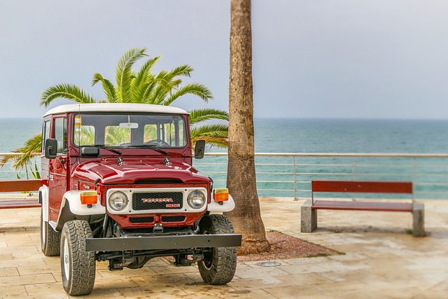 87 Minutes in the Bay — Land Cruiser 300 10K Service
