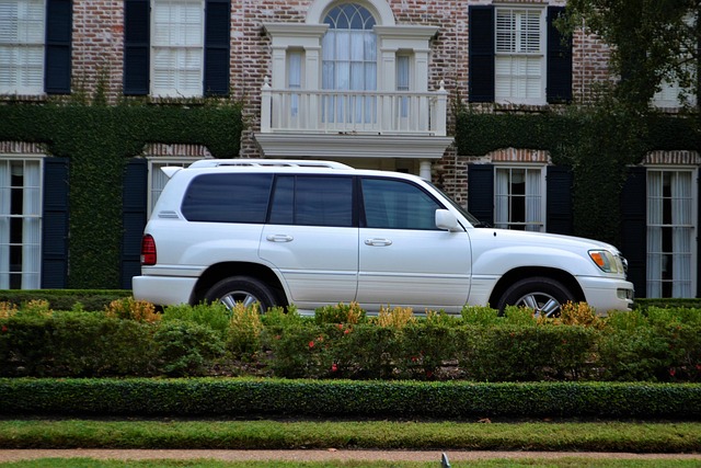 What the Data Doesn't Tell You — Land Cruiser 300 10K Service