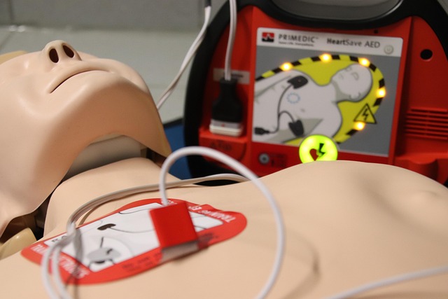 first aid puppet exercise aed defibrillator rescue medic medicine savior help emergency accident paramedic rescue doll first a