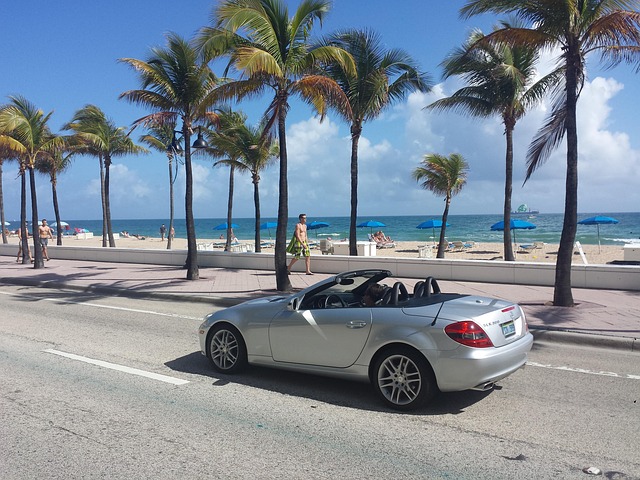 miami usa nature beach