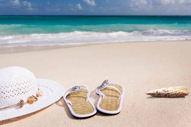 beach nature sand sea sandy beach vacations caribbean coast summer coneflower flip flop shell