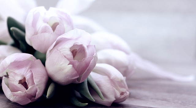 The Evidence: What Sources Converge — Mother's Day Tribute Art