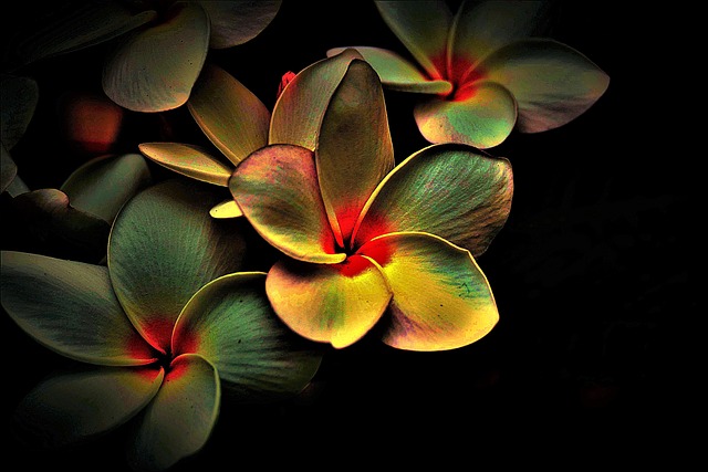 blossoms colored abstract picturesque multi coloured abstract abstract abstract abstract abstract