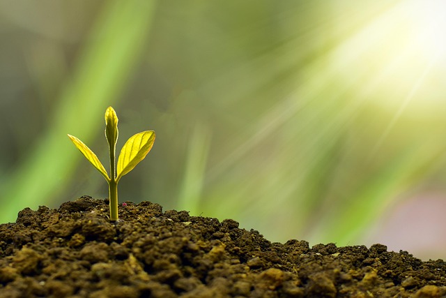 Insider Tactics — New hire coaching 2026