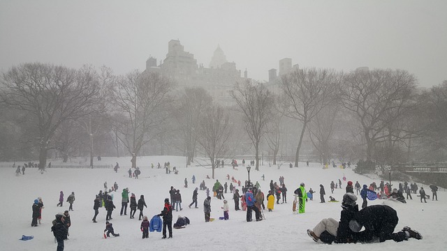 AA133 on March 12 — New York to Los Angeles Flights