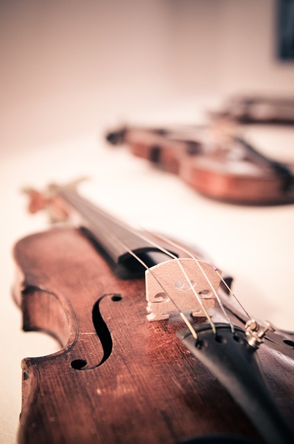 violin music musical instrument stringed instrument classical music strings close up violin violin violin violin violin music m