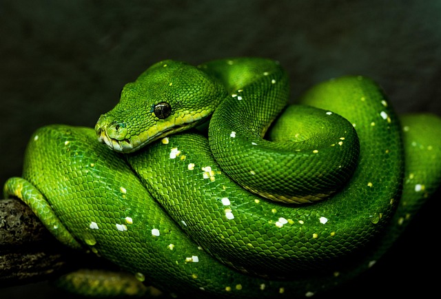 Novice Python Debugging, photo 2