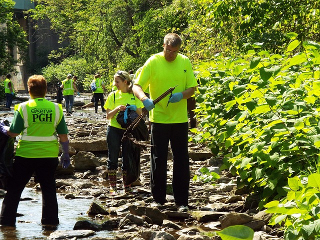 cleanup stream cleaning nature water creek stream cleaning cleaner voluntary work
