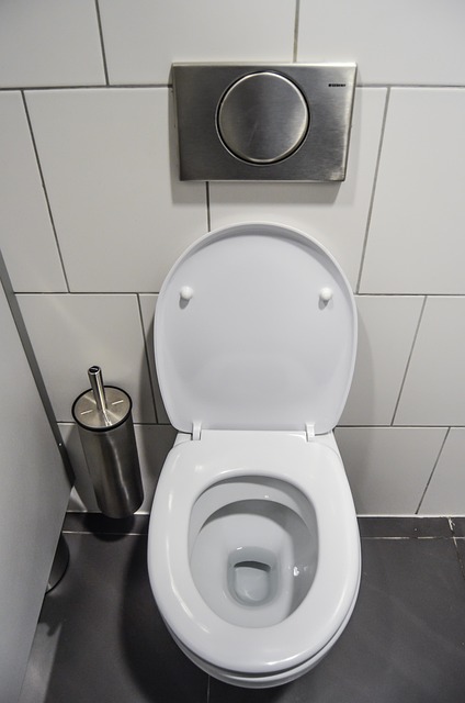 What the Data Doesn't Tell You — Office Toilet Water Savings